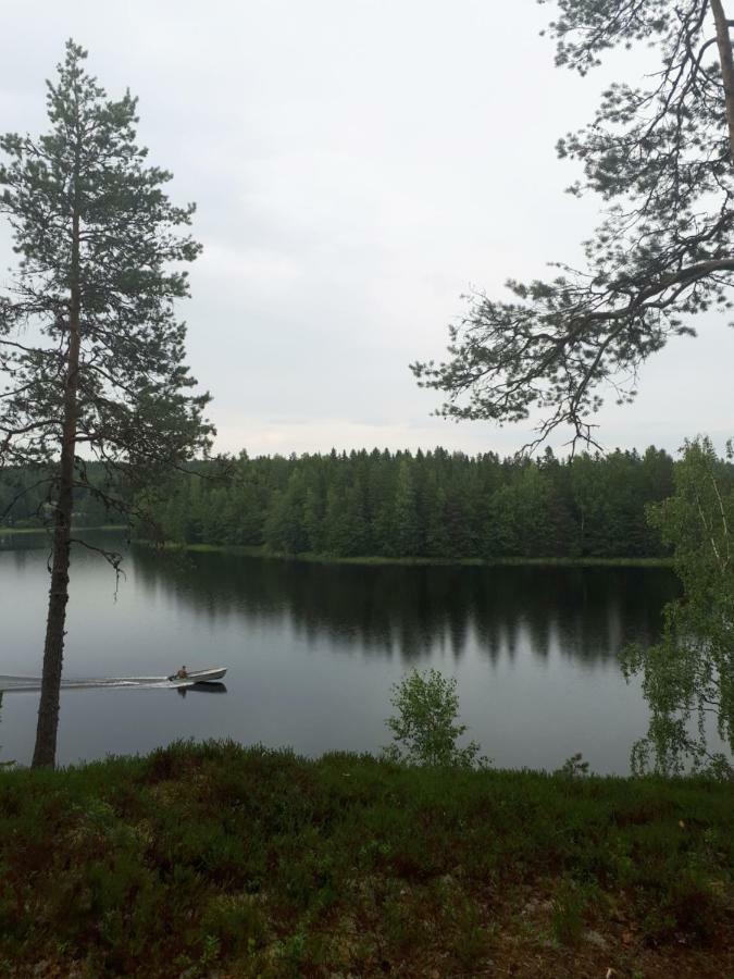 Коттедж В Финляндии, Enonkoski Buitenkant foto