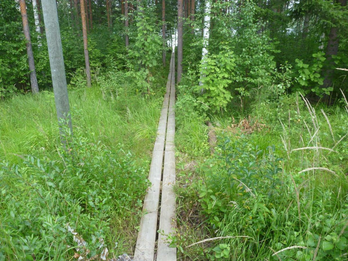 Коттедж В Финляндии, Enonkoski Buitenkant foto