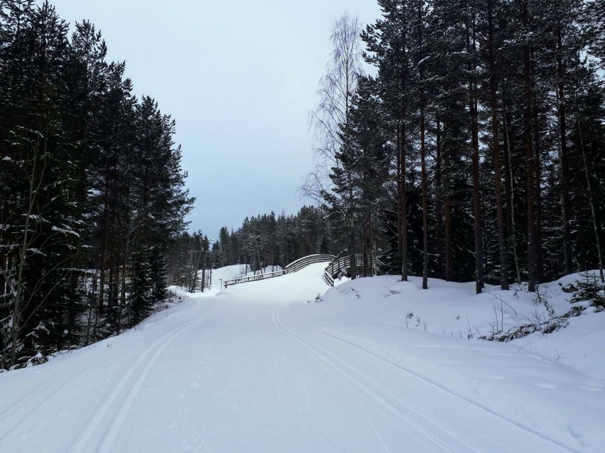 Коттедж В Финляндии, Enonkoski Buitenkant foto